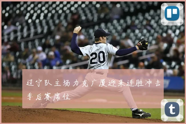 辽宁队主场力克广厦迎来连胜冲击季后赛席位