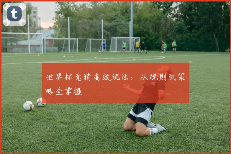世界杯竞猜高效玩法,从规则到策略全掌握