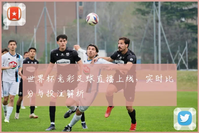 世界杯竞彩足球直播上线,实时比分与投注解析